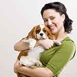 手机版ddos攻击器